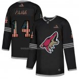 Maglia Hockey Arizona Coyotes Richard Panik 2020 USA Flag Nero
